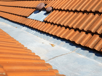About Leaking Skylight Repair Pros Williamson, NY